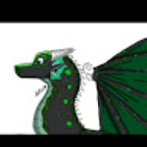 Meet your Posher, Claire